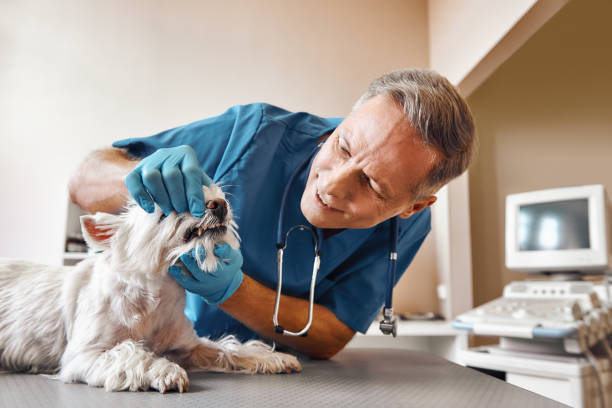 Best Emergency Treatment for Dental Infections or Abscesses in Hemphill, TX